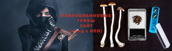 Альфа ПВП Россошь