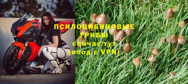 Альфа ПВП Россошь