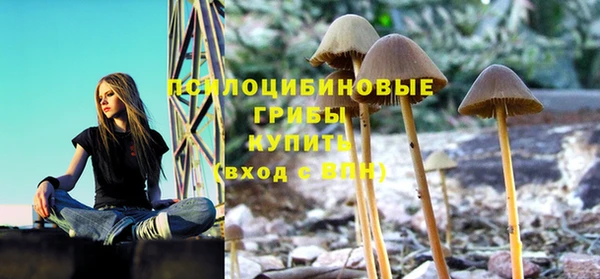 герыч Ростов